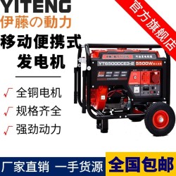 小型3 5 6 7 8KW汽油发电机220V380V户外应急工程备用YT3600DC-2
