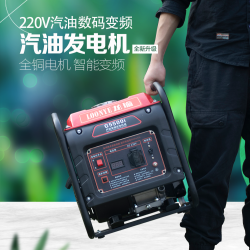 汽油发电机220V小型全铜家用迷你单相汽油无刷数码变频微型便携式