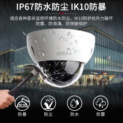 dahua大华监控摄像头 200万防暴半球网络高清监控器家用 室外防水红外夜视POE供电
