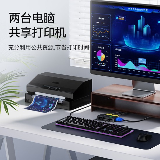 胜为（shengwei）KVM切换器 VGA视频切屏器 二进一出 台式机笔记本显示器监控鼠标键盘USB打印机共享器DVK1201G