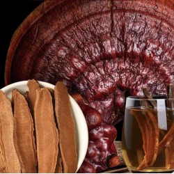 野生灵芝片 尖峰岭野生紫赤灵芝片整朵切片煮水泡茶   200元/斤   产地：海南