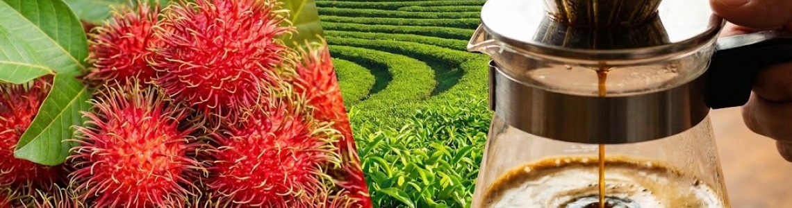 北纬18度的味蕾交响：从红毛丹的清甜到保亭咖啡的醇香