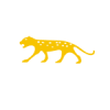 COOLSERVER