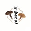 阿爹灵芝