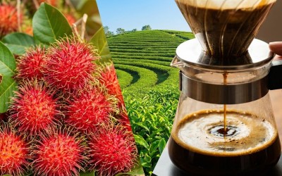 北纬18度的味蕾交响：从红毛丹的清甜到保亭咖啡的醇香