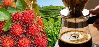 北纬18度的味蕾交响：从红毛丹的清甜到保亭咖啡的醇香